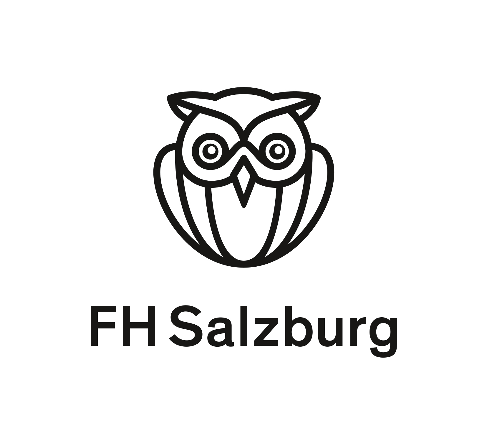 FH_Salzburg_Logo_Dachmarke_DE_RGB